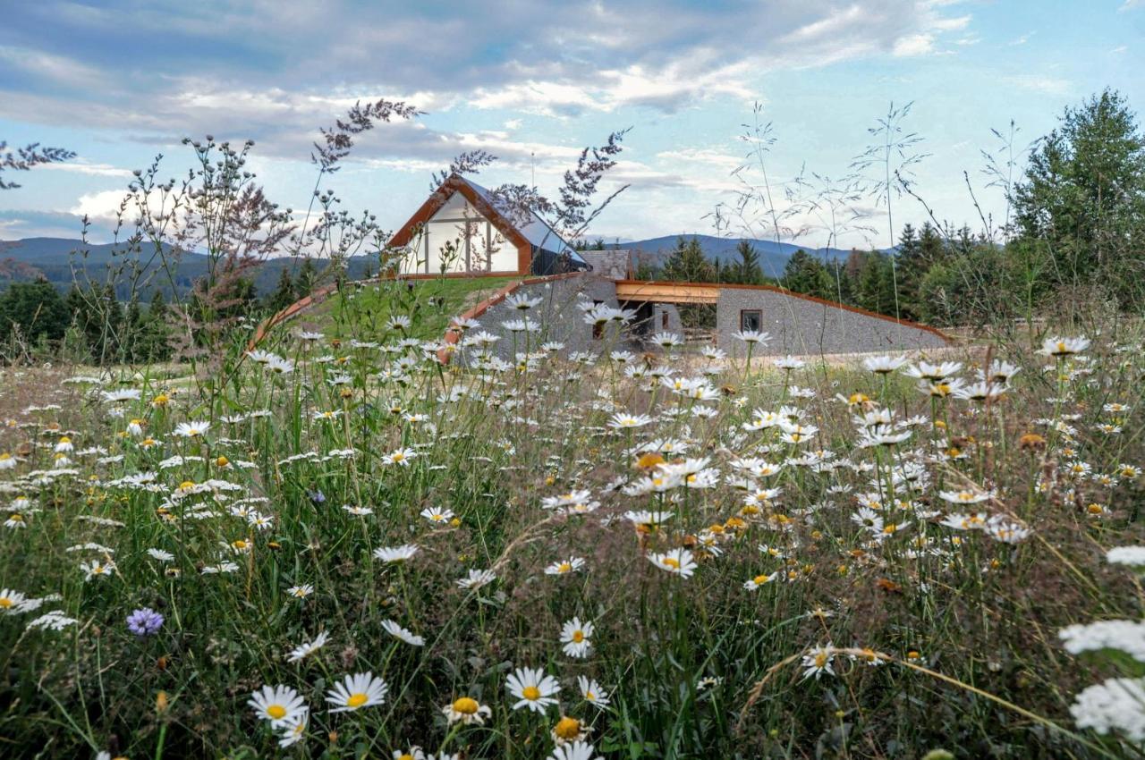 Beechtree Property Izvoare  Dış mekan fotoğraf