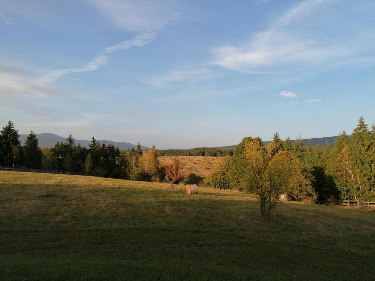 Beechtree Property Izvoare  Dış mekan fotoğraf